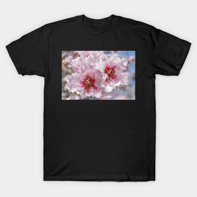 Pink Blossoms T-Shirt by mariola5